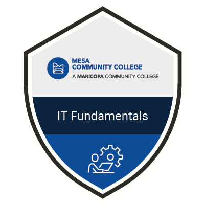 IT Fundamentals Badge