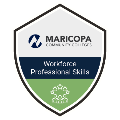 Workforce Professional Skills Badge