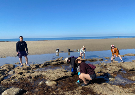 An image of students in a study abroad program doing research in a tidepool