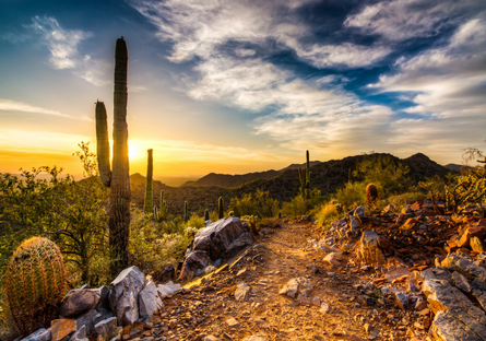 Image of the Arizona desert